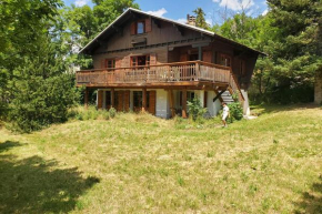 Alpine chalet with fireplace terrace and garden